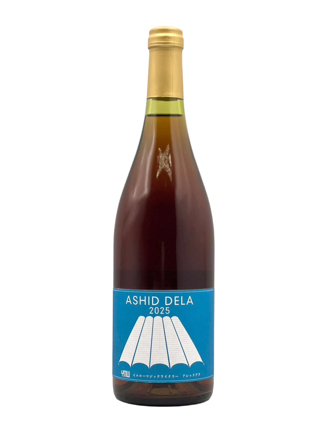 ASHID DELA 2025