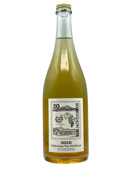 2020 特拉华州(范佩蒂安收藏)