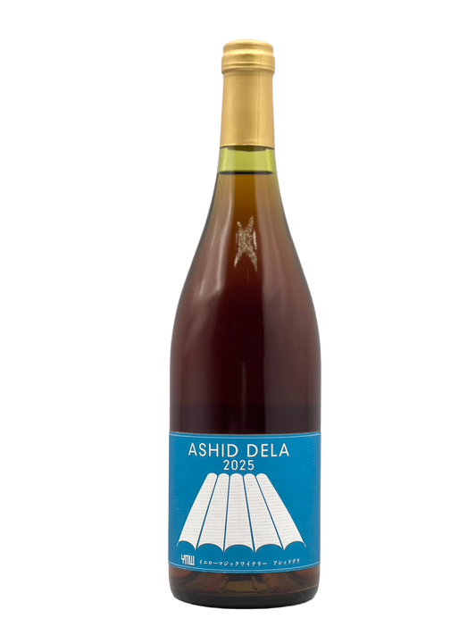 ASHID DELA 2025［YMW2026.5］