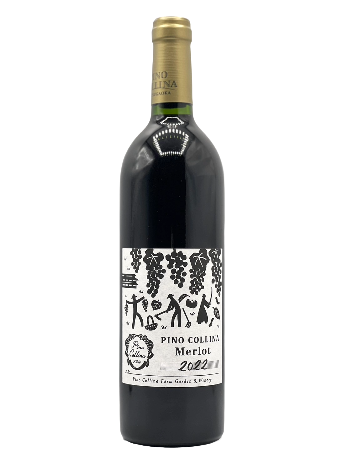 PINO COLLINA Merlot 2022 （ピノ･コッリーナ メルロー）［MO2025.9］