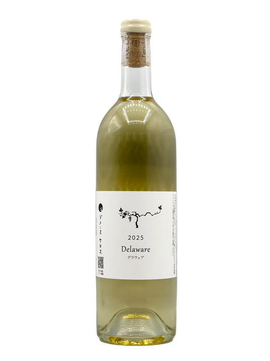 KELOS デラウェア 2025［KELOS2025.12］［新酒2025w］