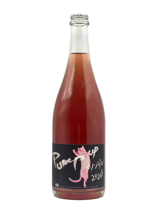 Pump up ツンデレ 2024［YMW2025.10］