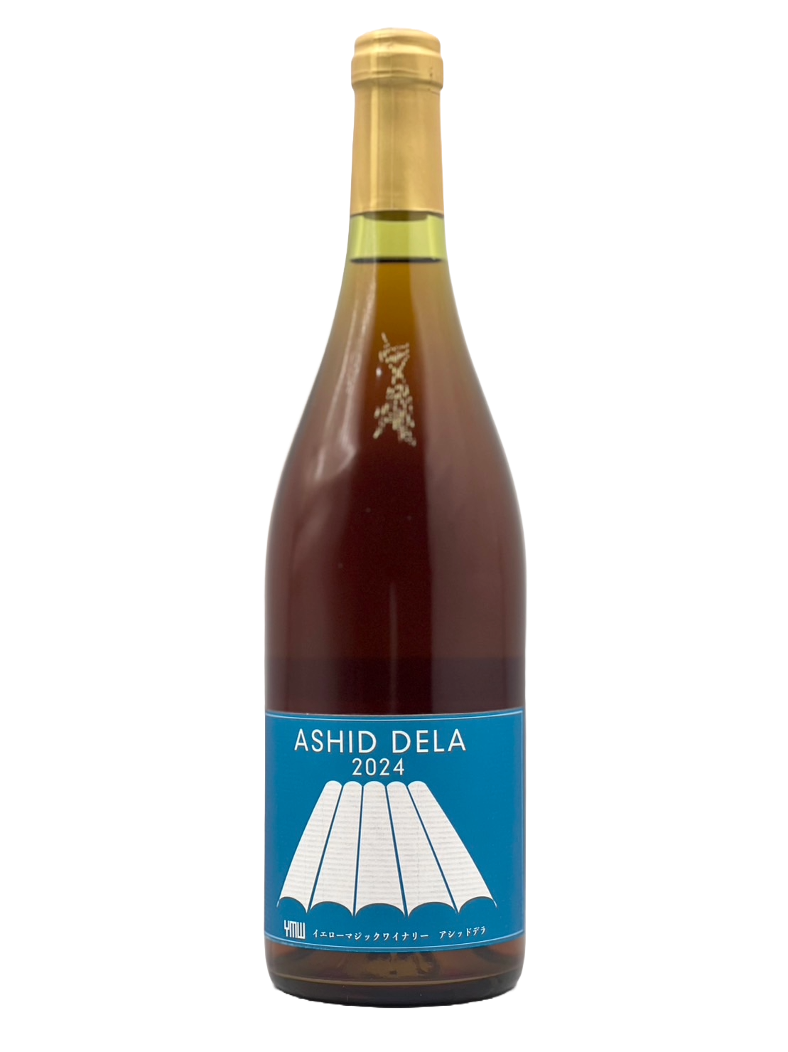 ASHID DELA 2022 [ymw2023.1]