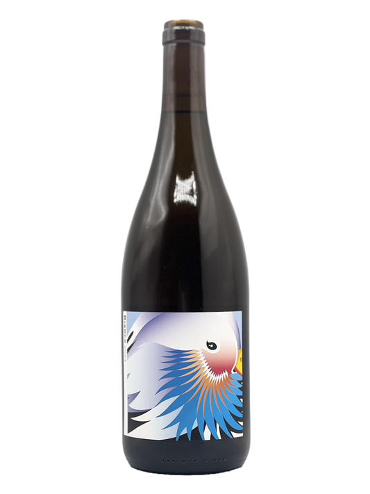 Bianco 2024