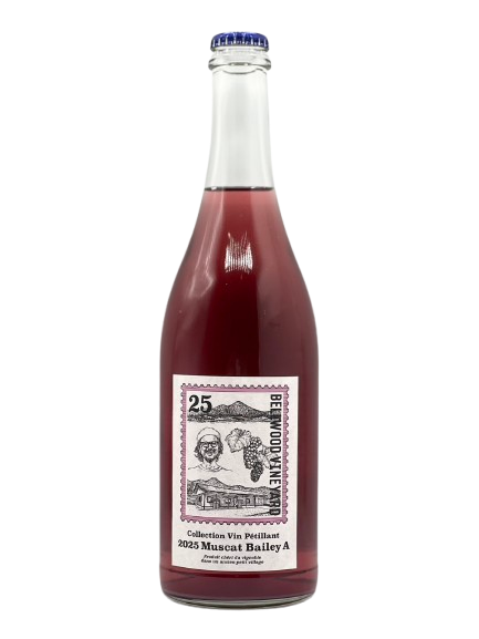 2025 マスカットベーリーA（コレクション ヴァン ペティアン）［BV2026.1］